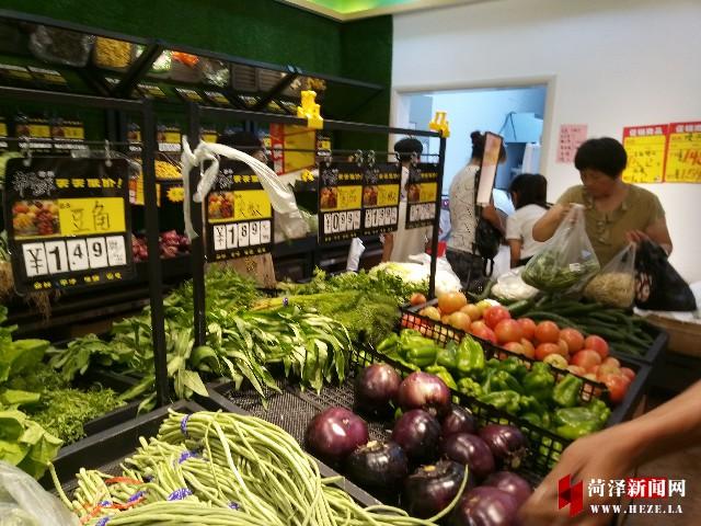 菏泽土豆最新行情揭秘，奇妙旅程与温情故事相伴相随