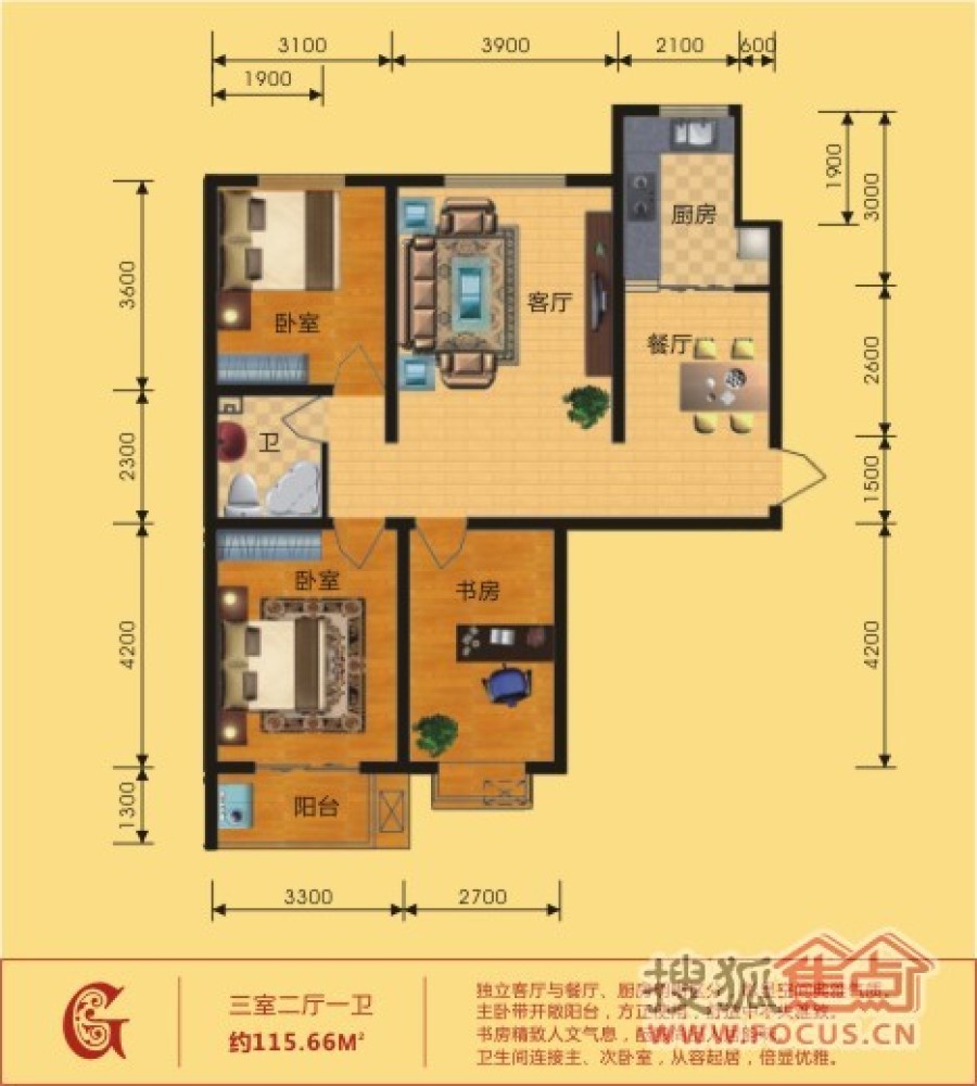 衡水凯旋城最新动态，学习之光照亮未来之路发展之路