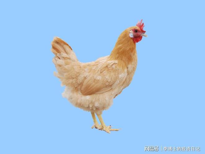 第1797页