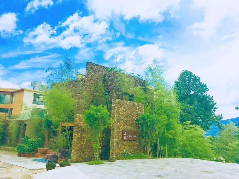 案例展示 第309页
