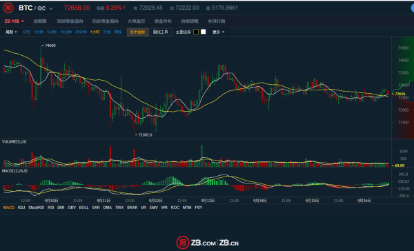 比特币行情实时走势图，探索数字黄金浪潮，学习变化提升自信与成就感