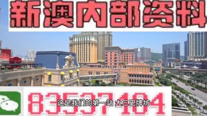 2024新澳精准正版资料,快速响应执行方案_高级版57.835