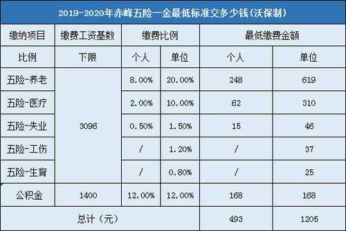 五险最新政策详解与步骤指南