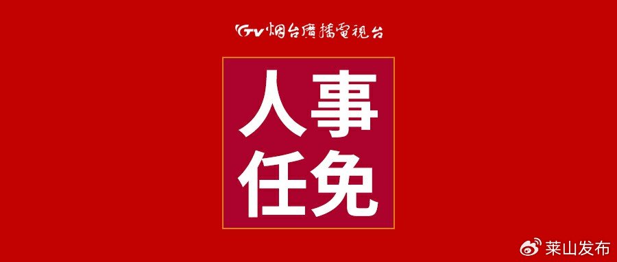 烟台市最新任免，人事变动带来的自信与成就感展望