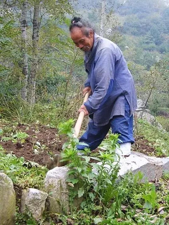 终南山隐士温馨日常，最新视频展现隐士生活