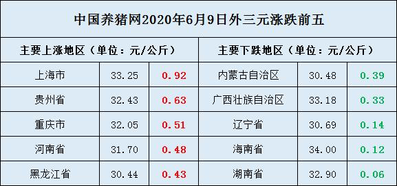 今日大猪价走势变化，机遇与励志的力量，最新价格分析