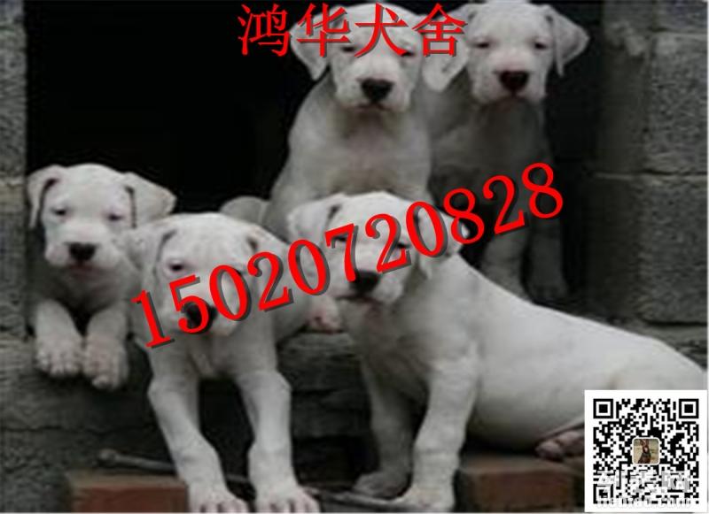 新闻资讯 第127页
