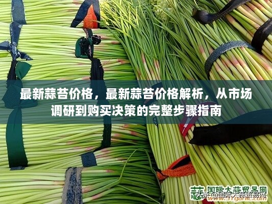 蒜苔最新价格背后的友情与陪伴温馨故事