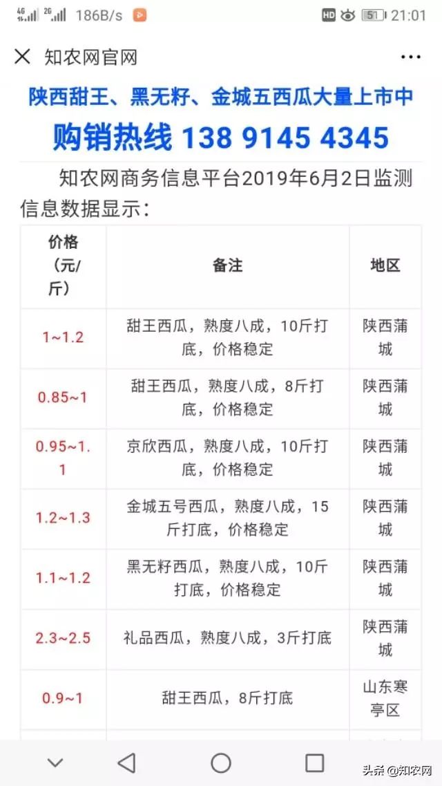 临沂西瓜价格最新动态，绿色之旅寻找内心平静